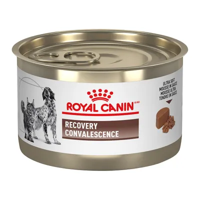 Canine/Feline RC Recovery Ultra Soft Mousse - 24 X 145 gm Cans