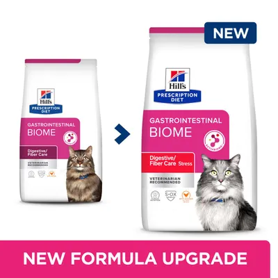 Feline Hills GI Biome