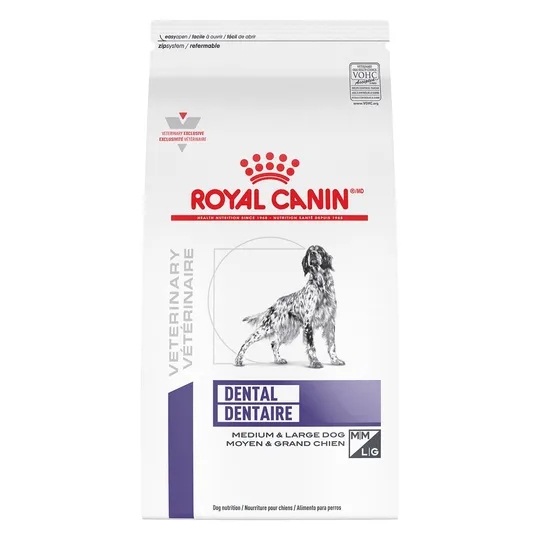 Canine RC Dental
