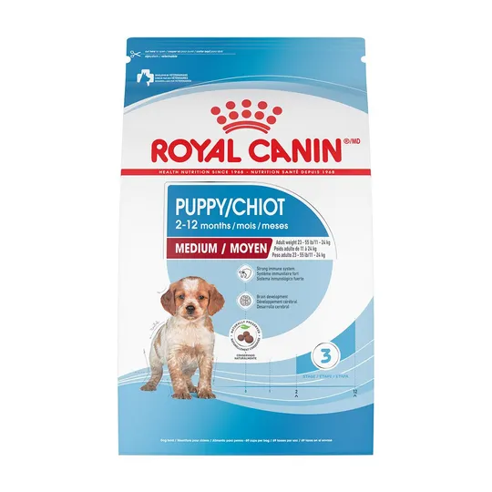 RC Puppy Medium Dog