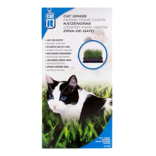 Cat Grass Catit - 75 g