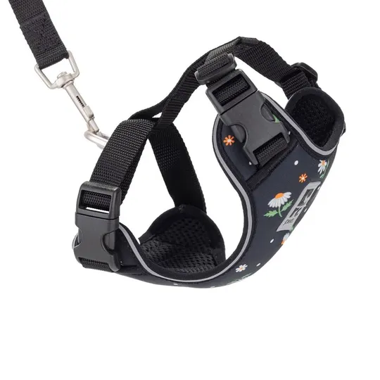 Lead And Harness Combo Feline Rc Adventure Kitty Medium - Daisies