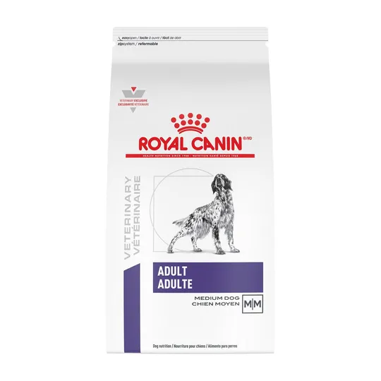 RC Adult Medium Dog