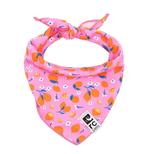 Cooling Zephyr Bandana Canine Pink Zesty - Small/Medium
