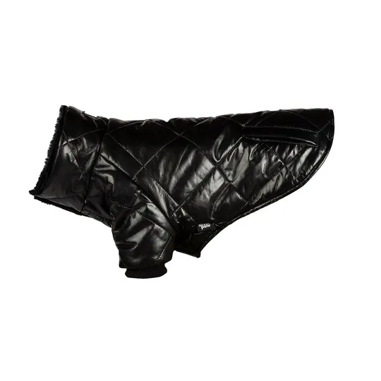 Coat Canine Phoenix Winter Jacket Black - X Small
