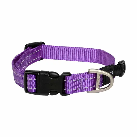 Collar Canine Rogz Utility Nitelife Purple - 3/8in X 8-12in
