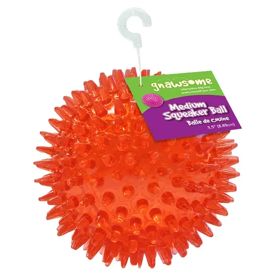 Gnawsome Ball with Squeaker - 3.5 in