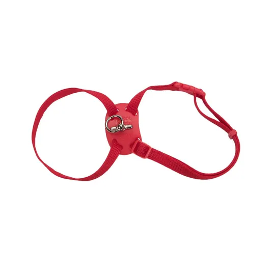 Harness Feline Adjustable Nylon Red - 12-18in X 3/8in