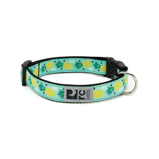 RC Clip Adjustable Pineapple Parade - 1in X 15-25in