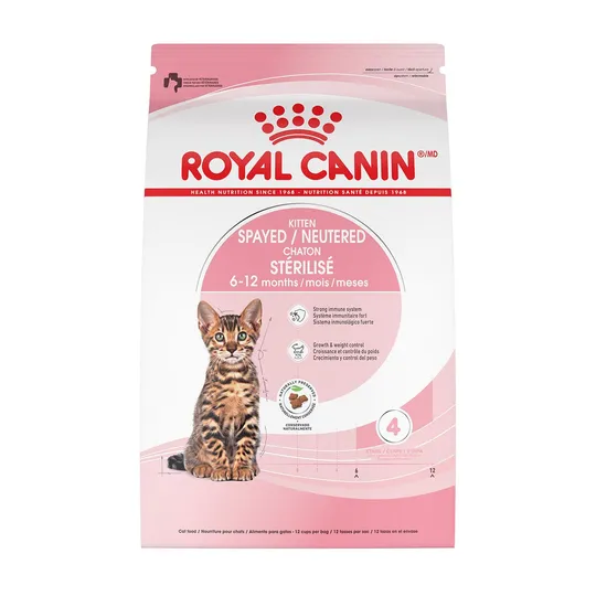 Feline RC Kitten Spayed/Neutered