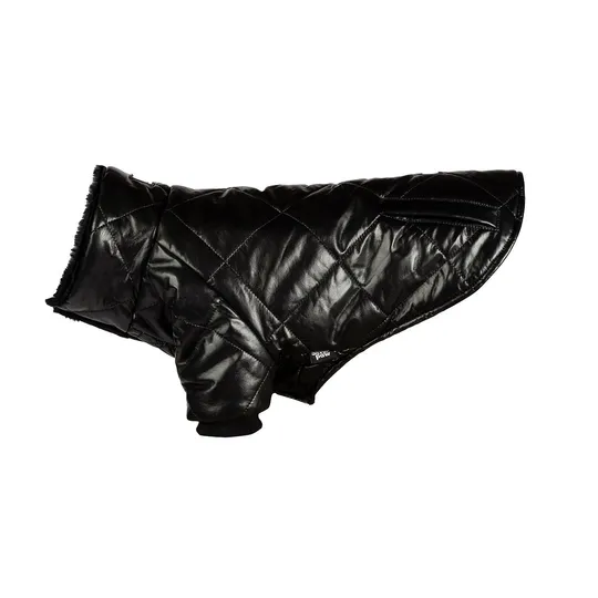 Coat Canine Phoenix Winter Jacket Black - Small