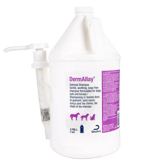 Dermallay Oatmeal Shampoo (Colloidal Oatmeal + Ceramides)