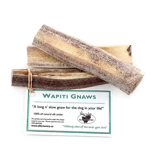 Elk Wapiti Gnaws - 12/Pkg