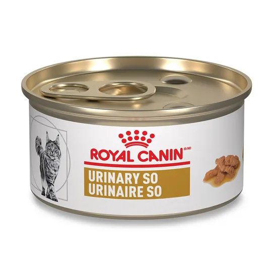 Feline RC Urinary SO Morsels In Gravy - 24 X 85 gm Cans