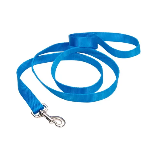 Lead Canine Coastal Blue Lagoon - 1in X 6ft
