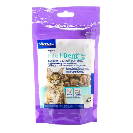 Cet Intellident Cat Bites - 90 s